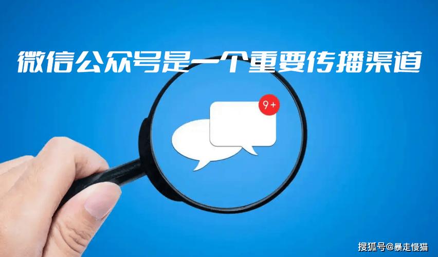 公众号是干什么用的