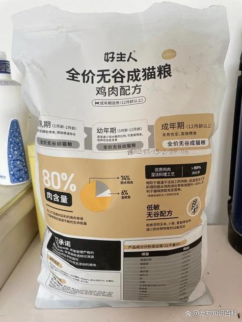 买猫粮在哪里买比较好游戏截图