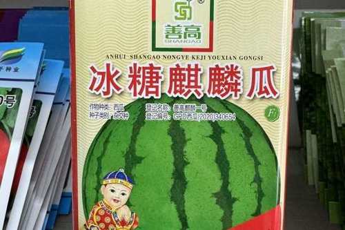 麒麟一号截图