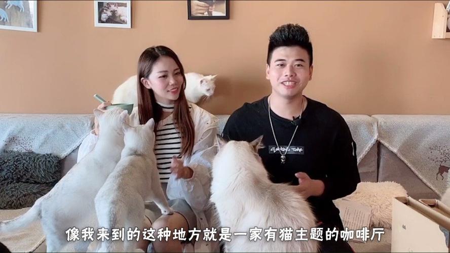 脱单大师网页版