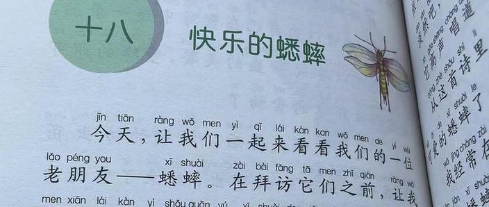 野生蛐蛐怎么养