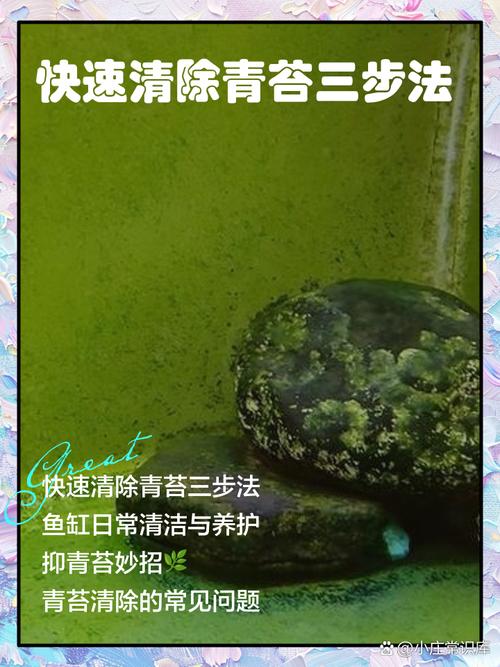 水池里青苔怎么快速清除