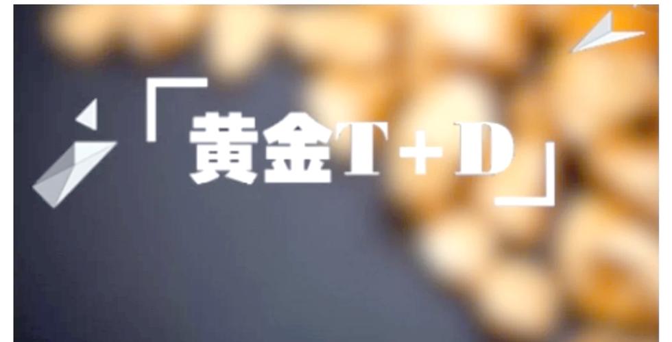 白银TD一个点赚多少截图