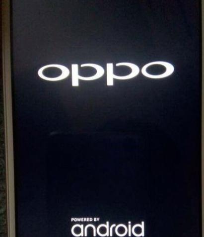oppo手机一直重启循环开不了机游戏截图