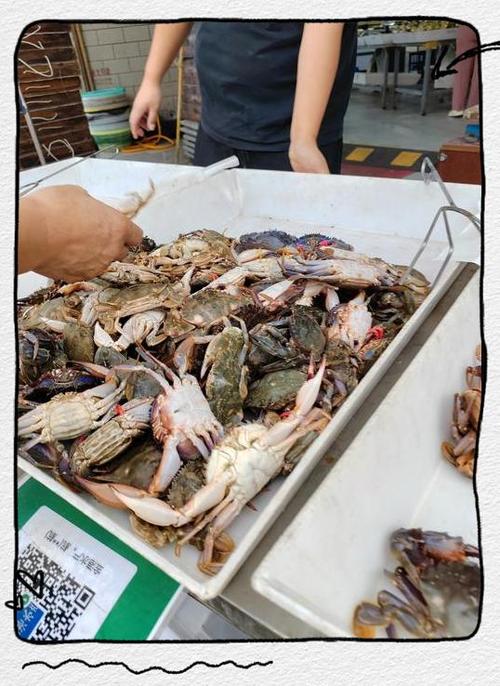 路边卖螃蟹赚钱吗截图
