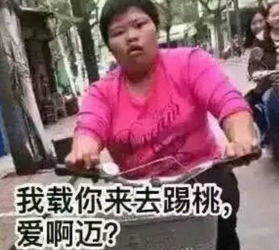 潮汕迈姐表情包原图