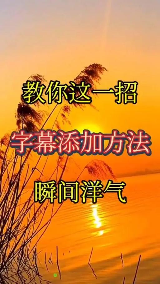 怎么拍视频说话带字幕