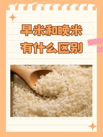 古代有米这个单位吗