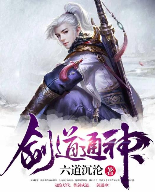 剑道之神 小说
