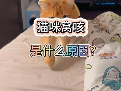 猫窝咳是什么症状图标