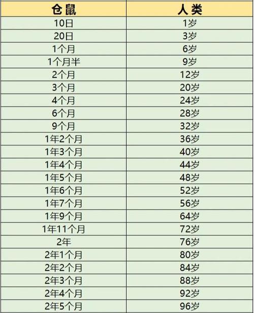 仓鼠和人类年龄换算