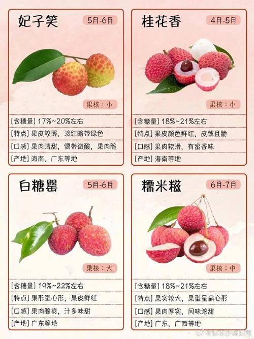 荔枝vip包年最低是多少