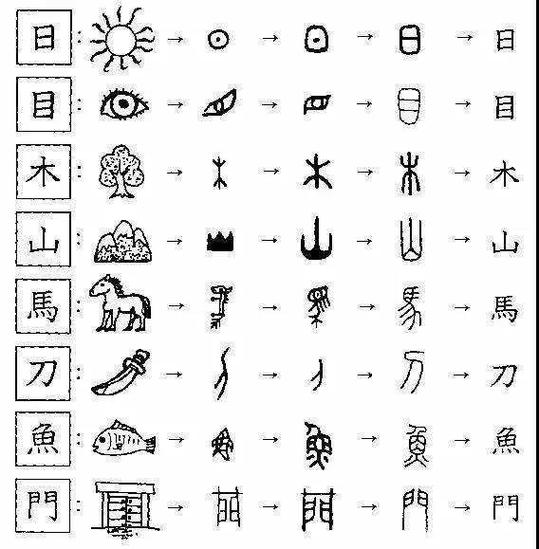 汉字的历史演变图标