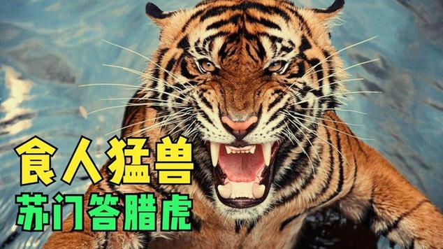 世界十大食人猛兽