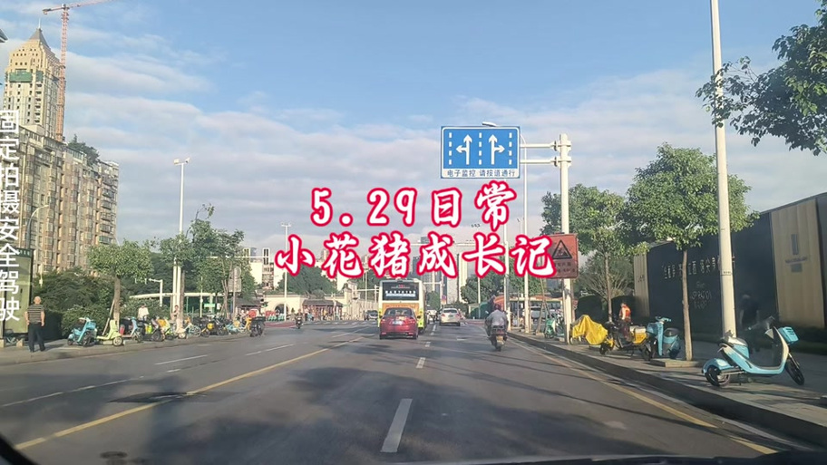 花小猪转人工