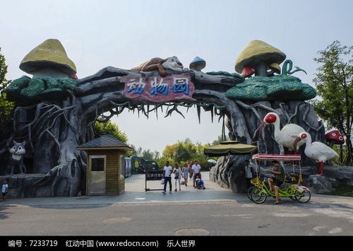 动物园门口适合做什么生意