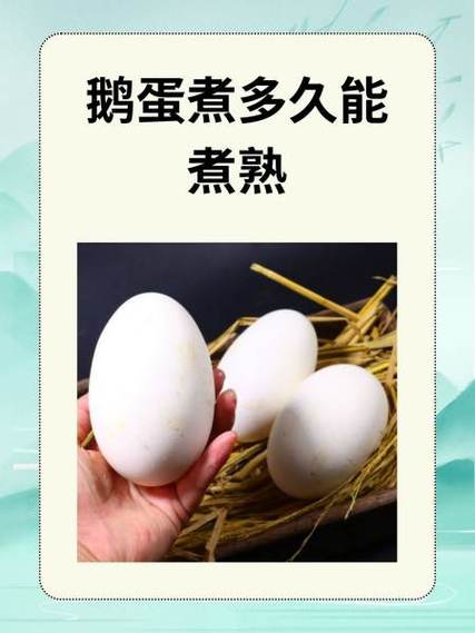 鹅蛋的营养价值