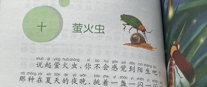 萤火虫机经