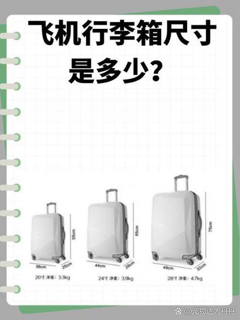 上飞机行李箱尺寸规定缩略图