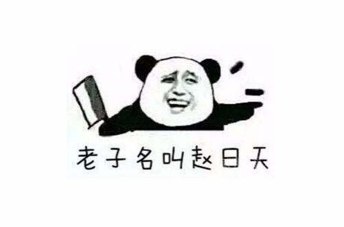 老子名叫赵日天