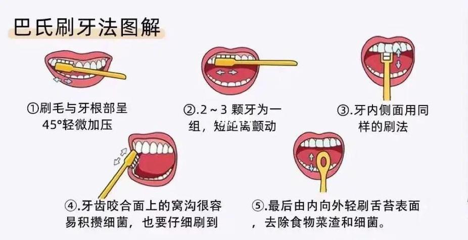电动牙刷使用步骤详解