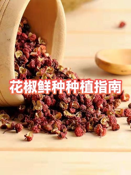 天龙八部花椒在哪里买图标