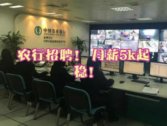 26河北农行招聘结果截图