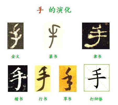 提手旁一个寸一个撇三点