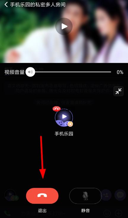 微光语音连麦静音什么意思