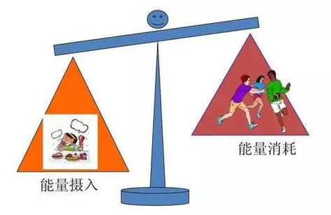 正常人的热量摄入标准
