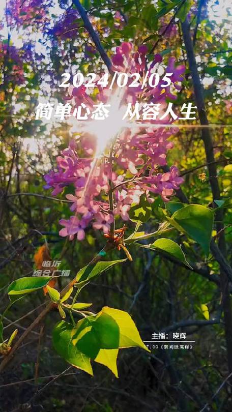 2024心态最火的句子