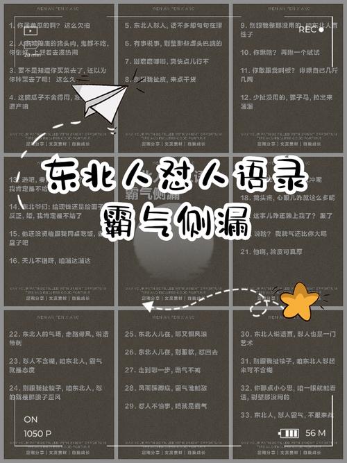 东北人精辟怼人短句