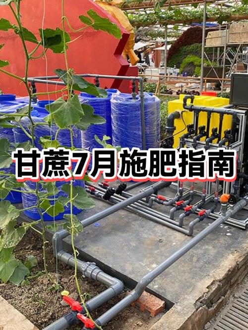 我的世界甘蔗怎么催熟