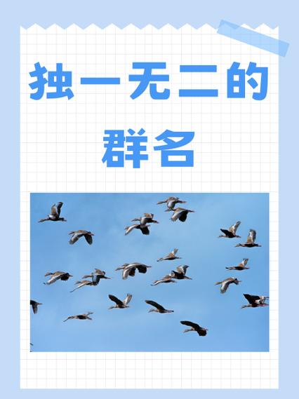 独一无二的团名截图