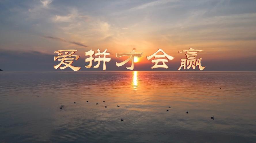 爱拼才会赢下载缩略图