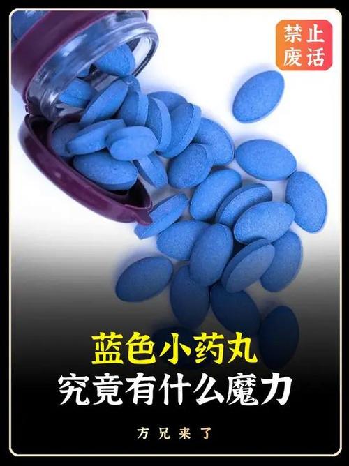 蓝色的小药丸在线阅读截图