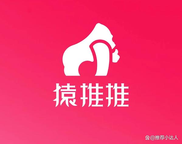 袁推推是什么平台
