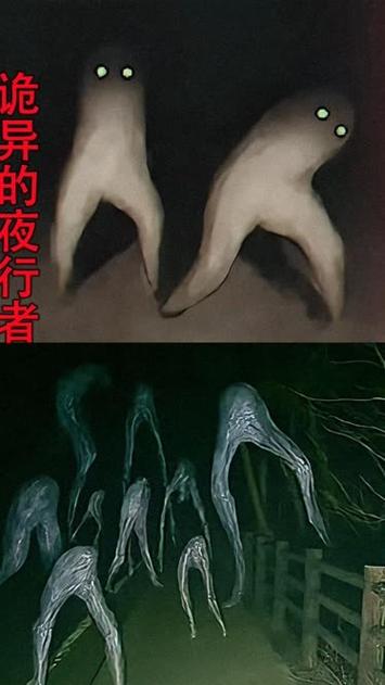 超巨大不明生物