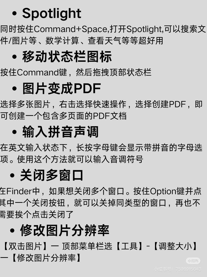 怎么把文件夹右列取消