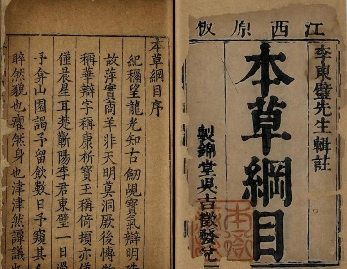 《本草纲目》