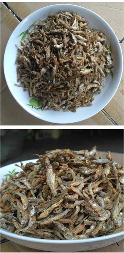 干鱼仔放冷冻好还是冷藏好