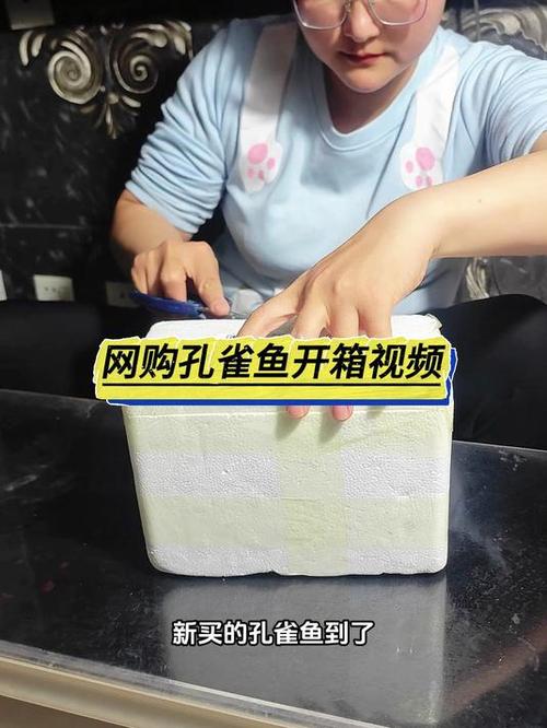 买孔雀鱼游戏截图