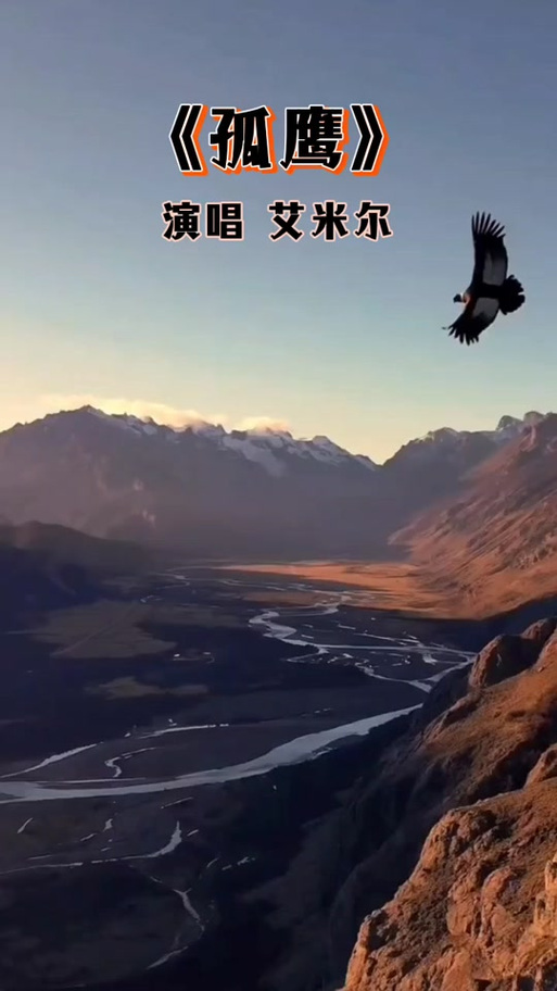 艾米尔算几流歌手啊