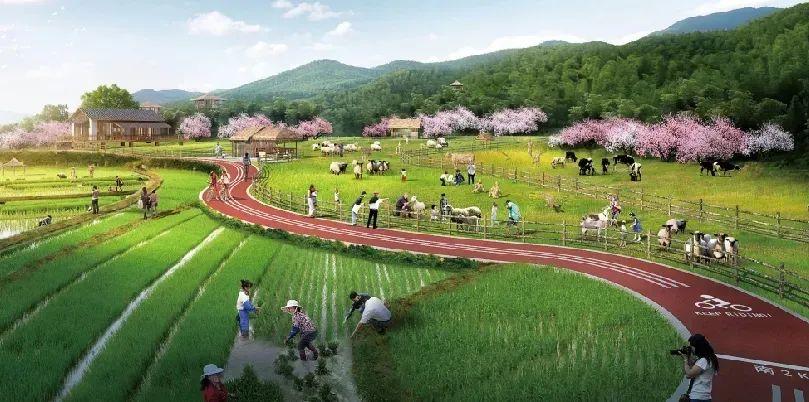 梦想田园