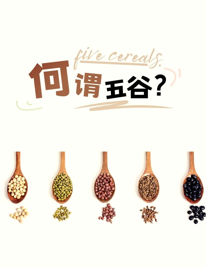 哪个不属于五谷截图