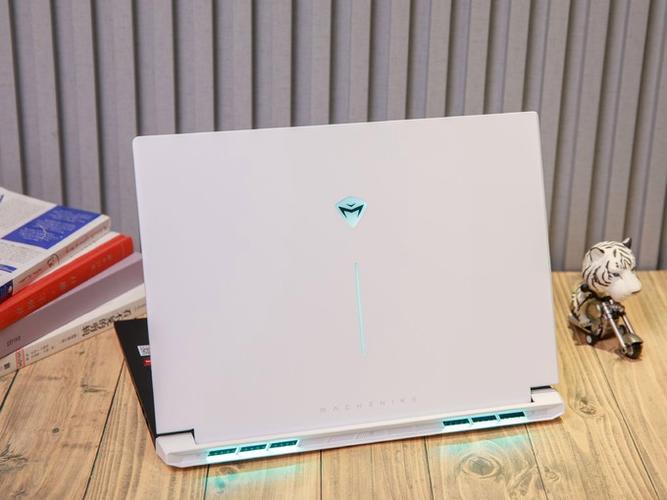 机械师笔记本打不开wifi图标