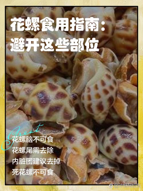 花螺不能吃的部位图