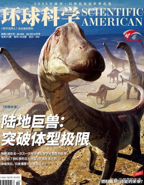 《环球》杂志官网入口