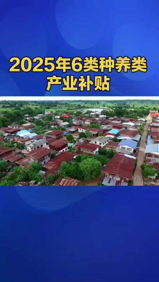 国家对养猪的补贴政策