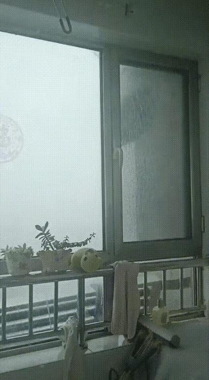 在deepin下安装Windows截图